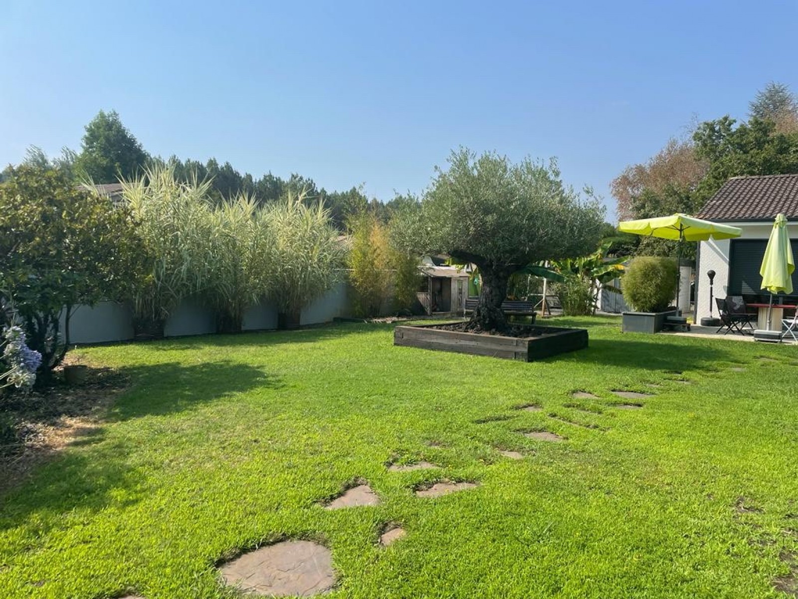 maison avec jardin paysagé à Cestas