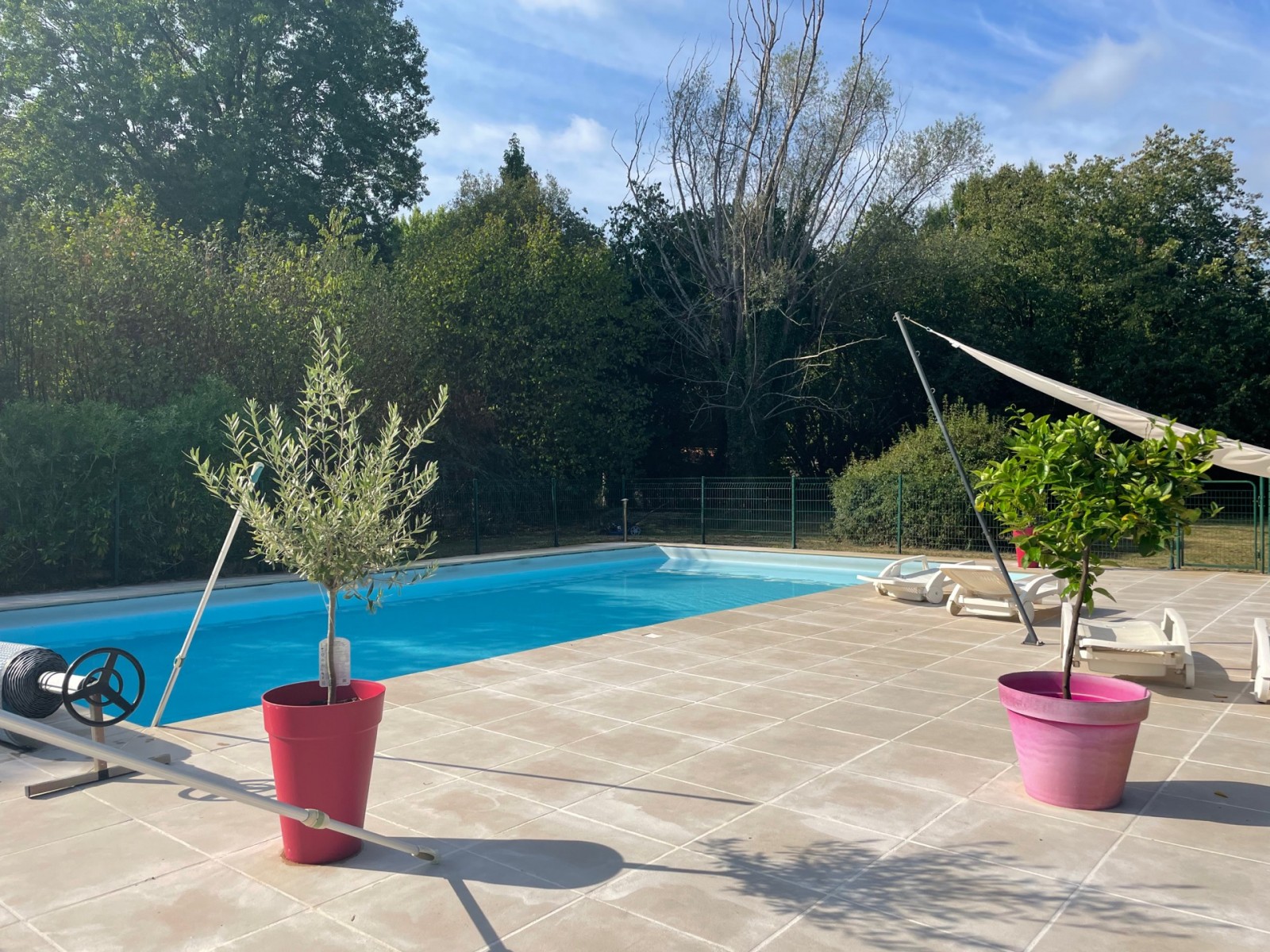 CESTAS, Maison 230m², 6 chambres sur  2970m² avec piscine