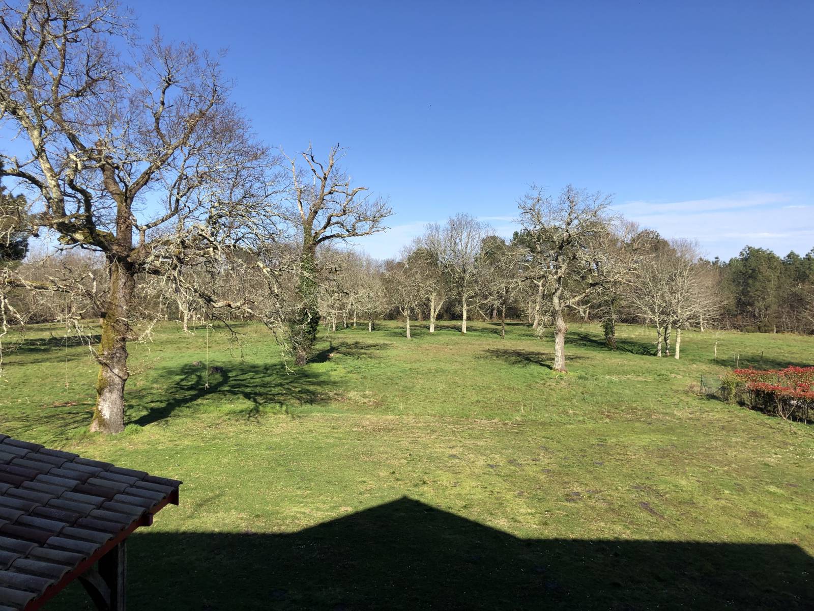 PROPRIETE A VENDRE CESTAS 3 HECTARES MAISON 250M²