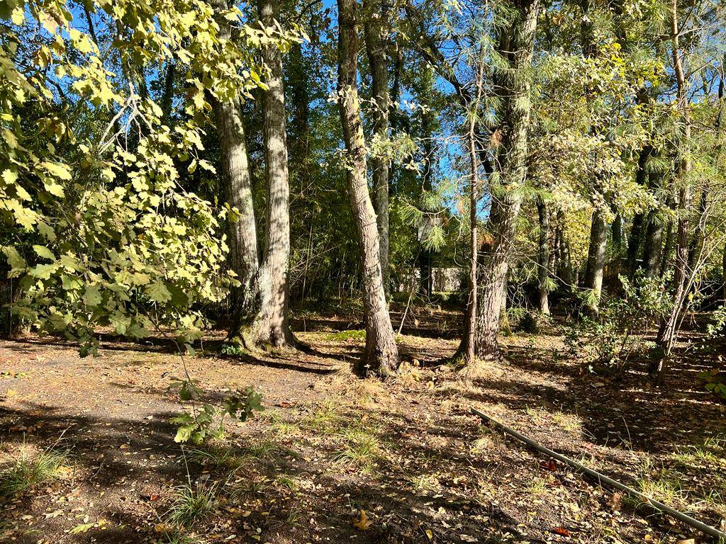maison avec terrain arboré