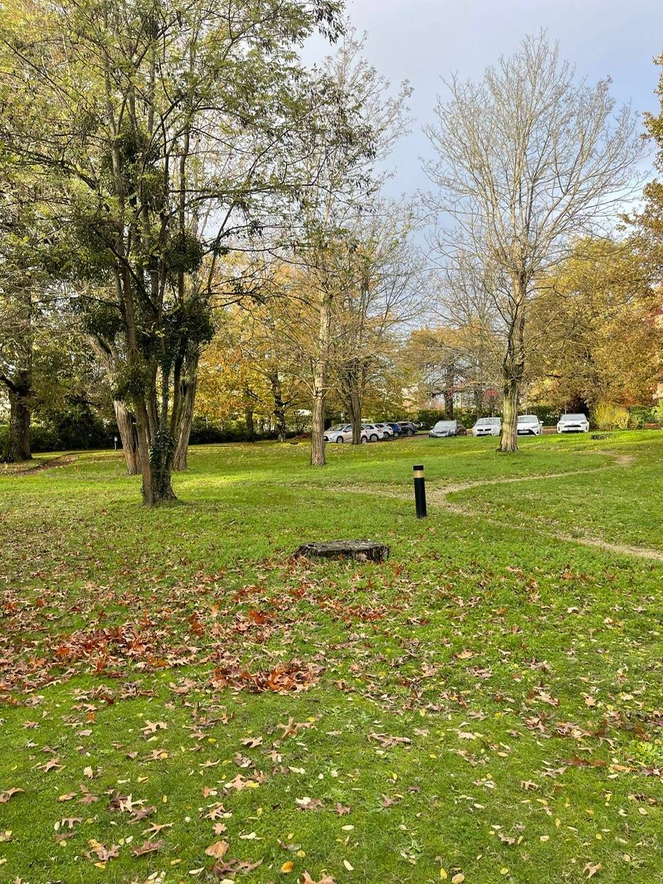 local Gradignan profession libérale