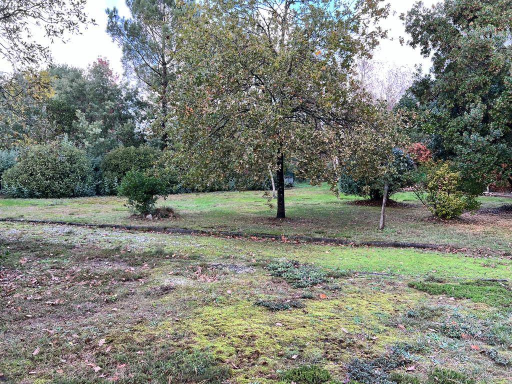 terrain à vendre Cestas