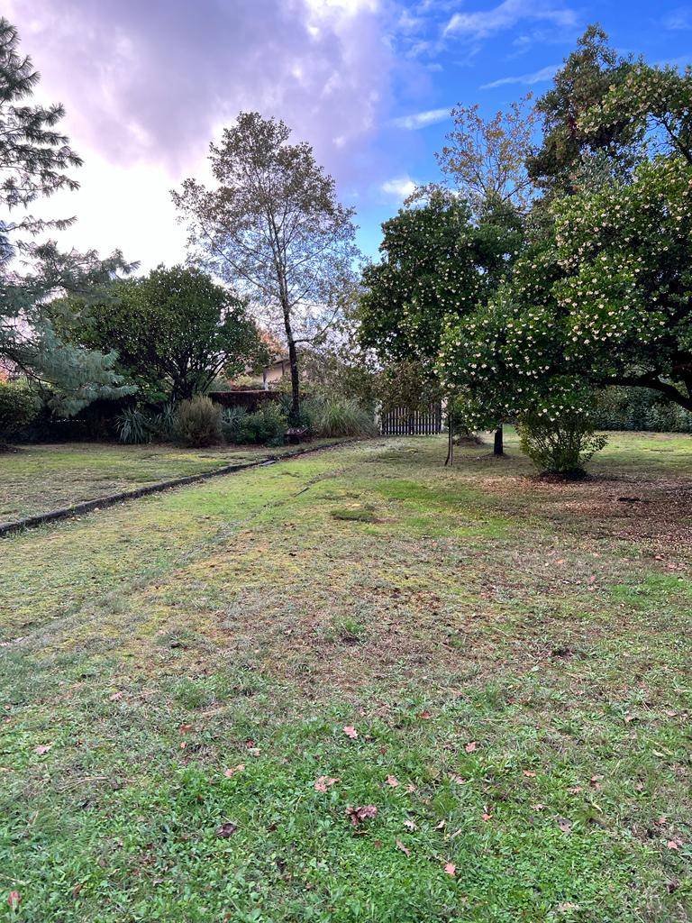 recherche terrain à Cestas