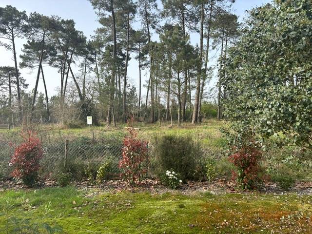 maison avec grand terrain à Canejan