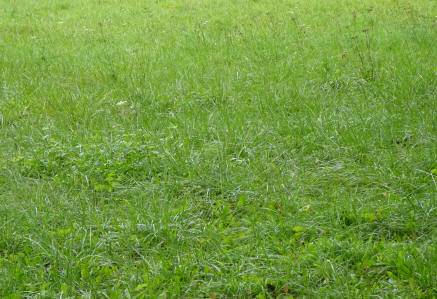 terrain à vendre Villenave d'Ornon