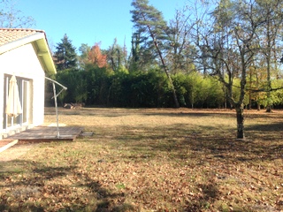 maison avec grand terrain cestas