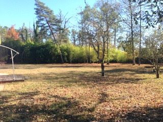 Maison plain pied, 3 chambres sur 1 hectare de terrain CESTAS PIERROTON