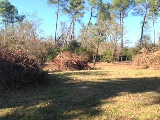 sur 1 ha de terrain maison cestas
