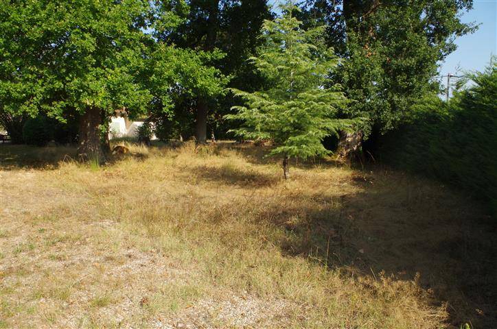 clt cestas vend terrain constructible au barp