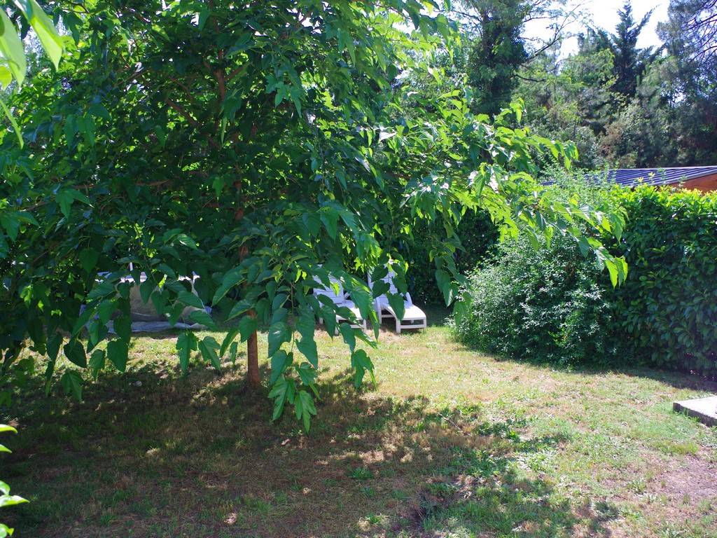 trouver une maison avec jardin sur canejan