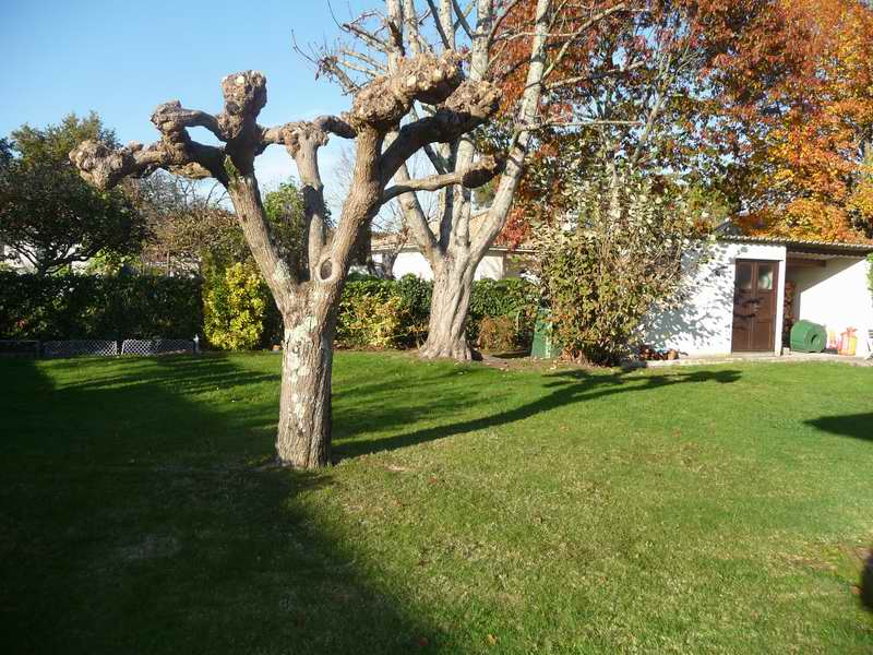 MAISON VENDU PAR NOTRE AGENCE Maison plain pied, 100m² sur 725m² Cestas Gazinet