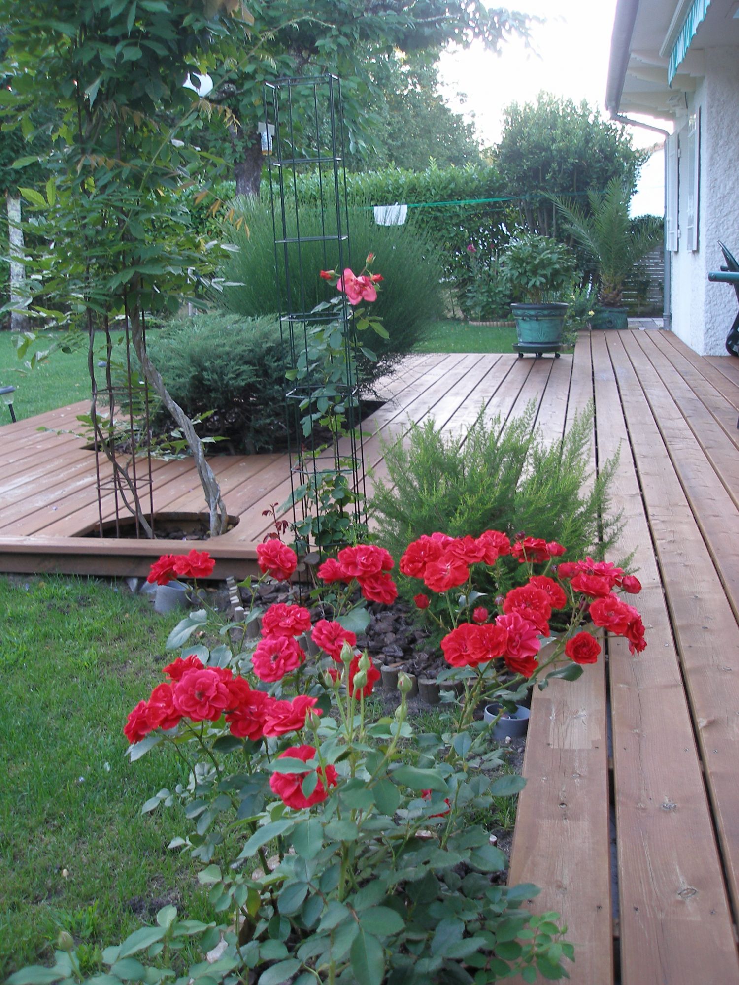 MAISON AVEC JARDIN CESTAS