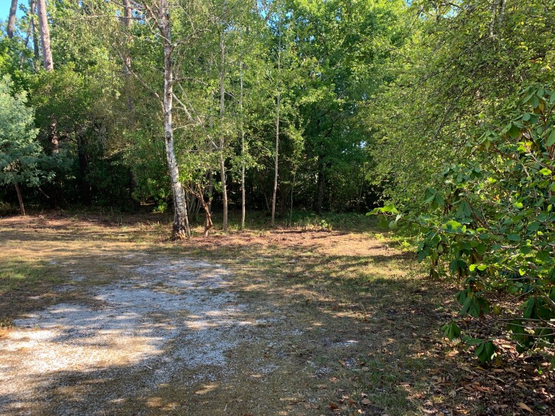 maison avec grand jardin à Cestas
