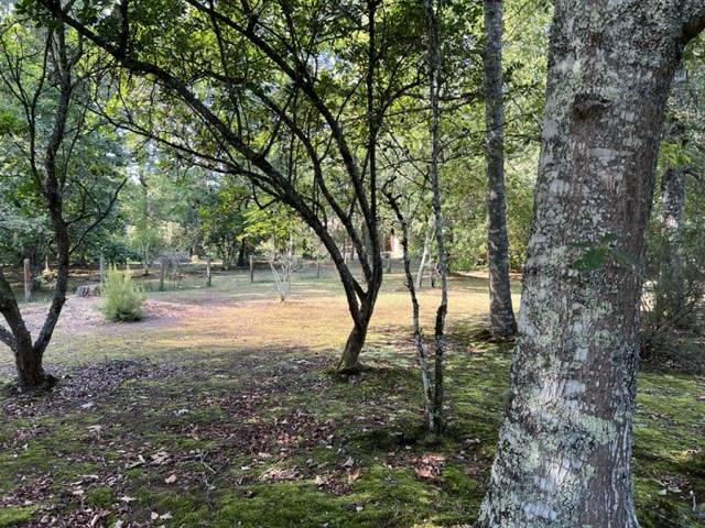 maison à vendre Cestas 