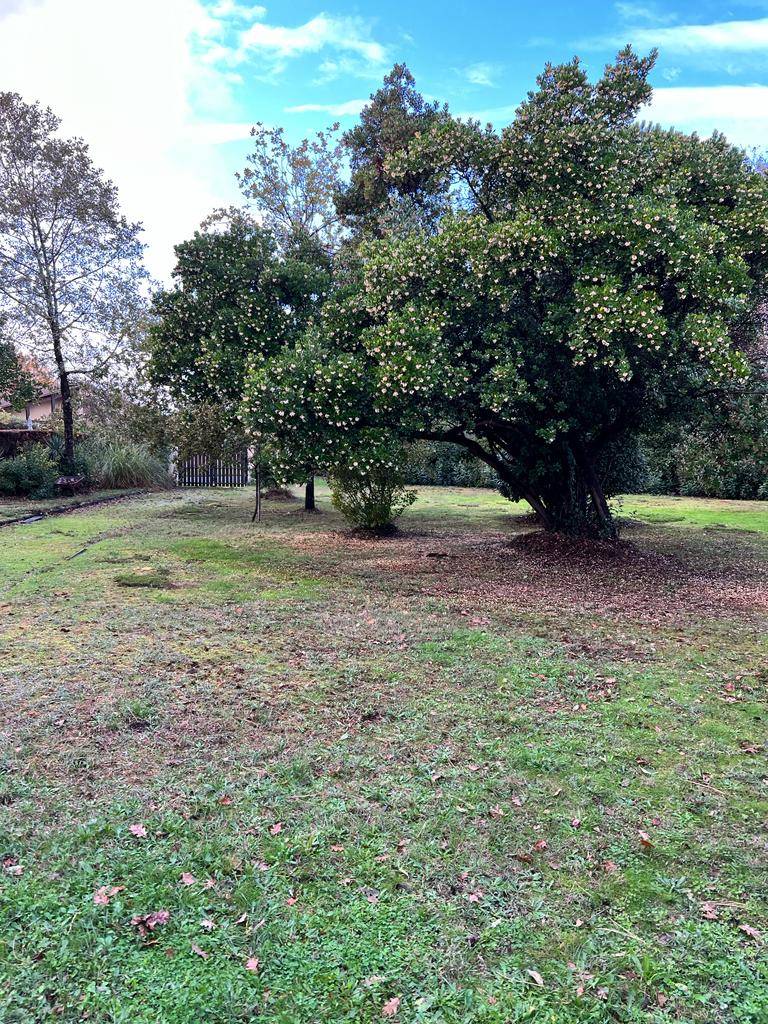 acheter un terrain à Cestas