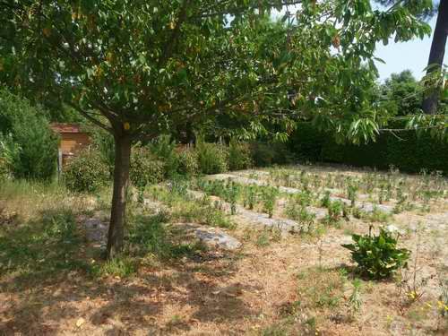 Maison plain pied 110m² 3 chambres garage 969m² de terrain Cestas Bourg